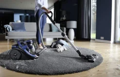 Rowenta RO7690 Silence Force Cyclonic Animal | Beutelloser Staubsauger | Vacuum-Cleaner | Sehr Leise | 2,5L Staubvolumen | Tierhaare | Auto | Schwarz/Blau -Rowesc Verkaufe 92a81e4d6537bfa17e2fd2ea8369ad9f