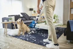 Rowenta RH9474, Trocken, Zyklonal, 82 DB, Beutellos, Orange, Weiß, Tätigkeit -Rowesc Verkaufe c43130de6d90f40691762650a58634bf